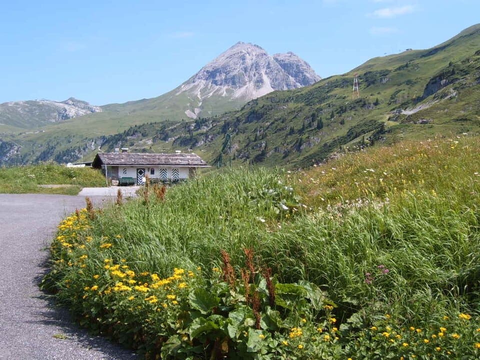 View of the Flexen Pass and Zürs am Arlberg